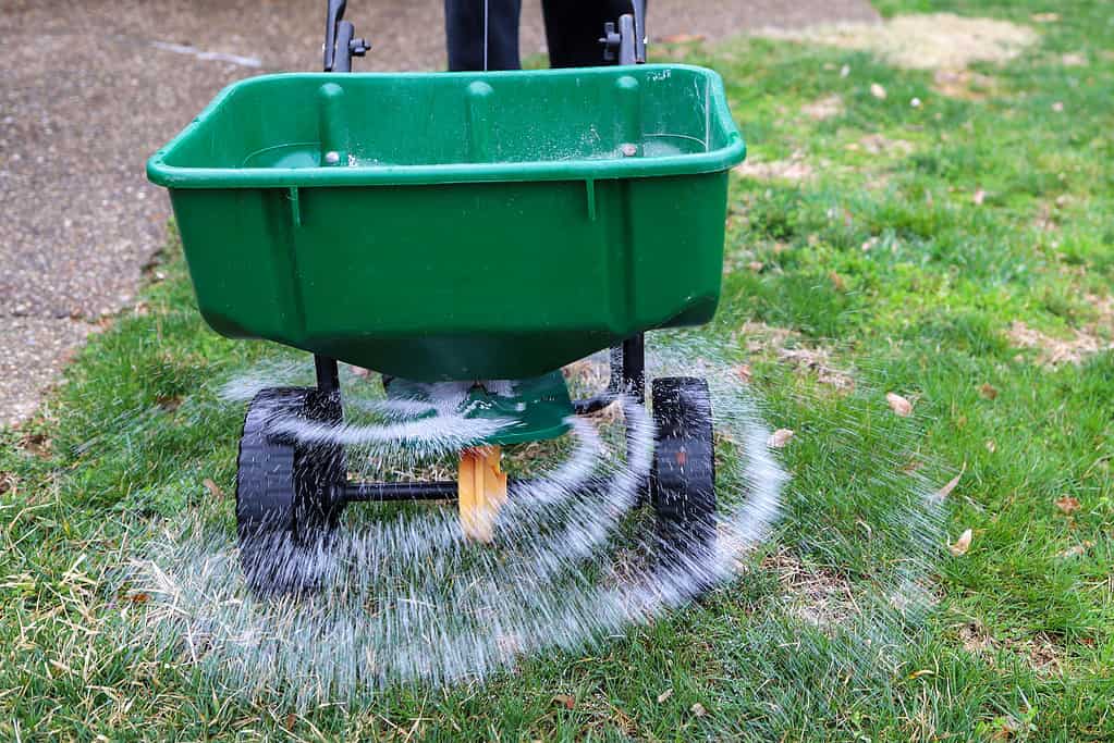 How Short Should You Cut Your Grass Before Winter? 5 Helpful Tips