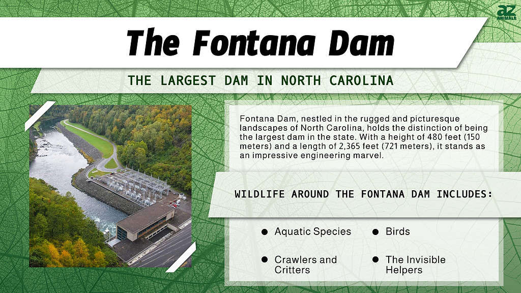 The Largest Dam in Each of the 50 States