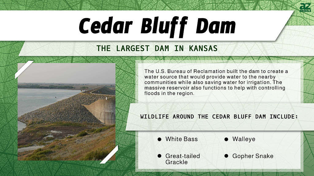 The Largest Dam in Each of the 50 States