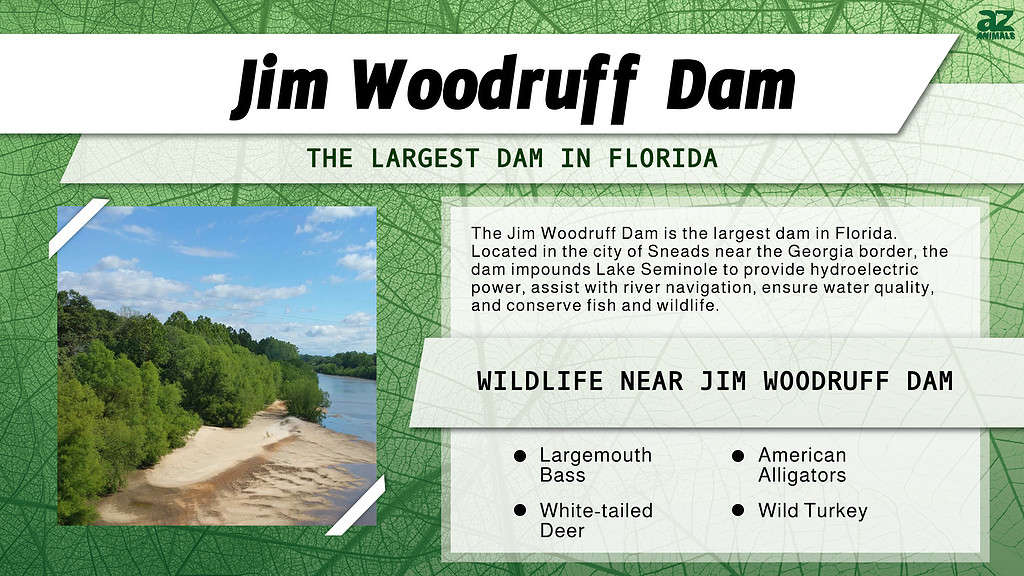 The Largest Dam in Each of the 50 States