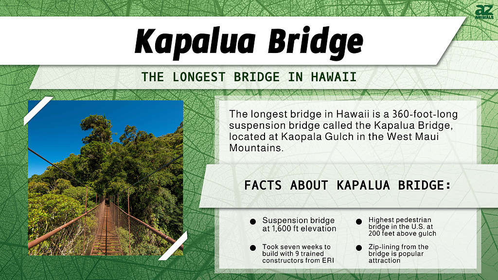 The Scariest Bridge in Hawaii Will Have You On the Edge of Your Seat