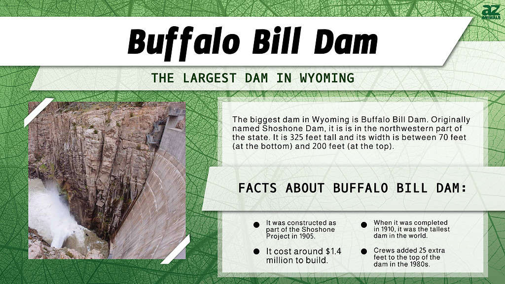 The Largest Dam in Each of the 50 States