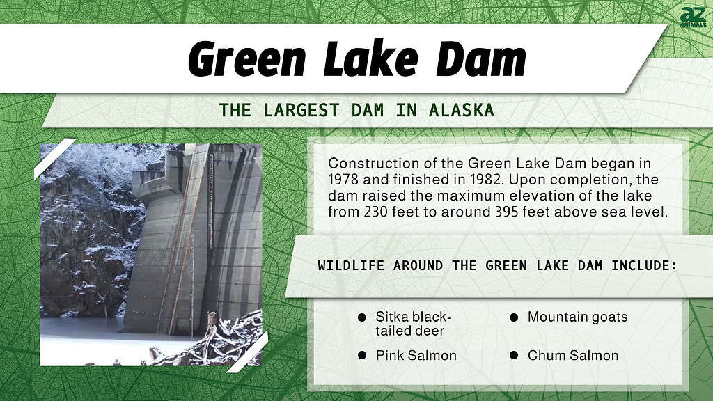 The Largest Dam in Each of the 50 States