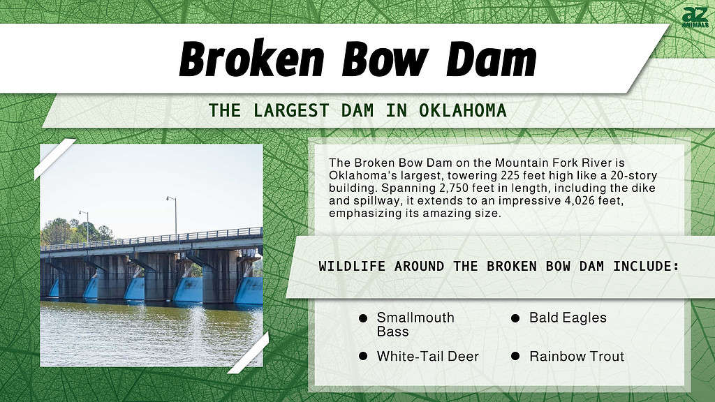 The Largest Dam in Each of the 50 States