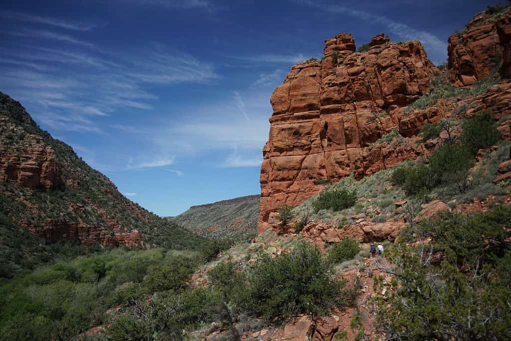 The Steepest Highway in Arizona Will Make Any Driver's Palms Sweat, 12 Responsibly-Driven Facts about Sitgreaves Pass