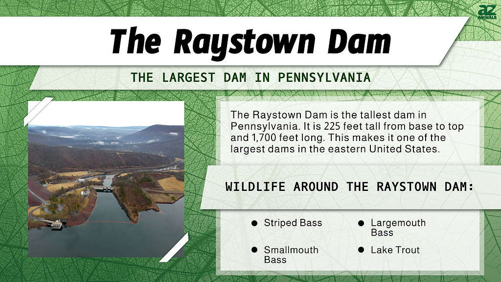 The Largest Dam in Each of the 50 States