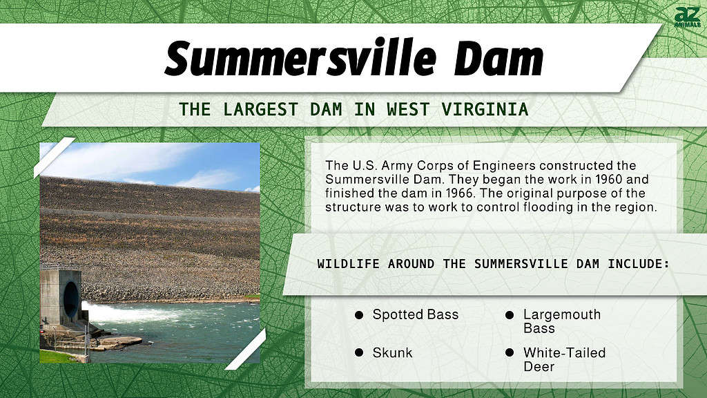 The Largest Dam in Each of the 50 States