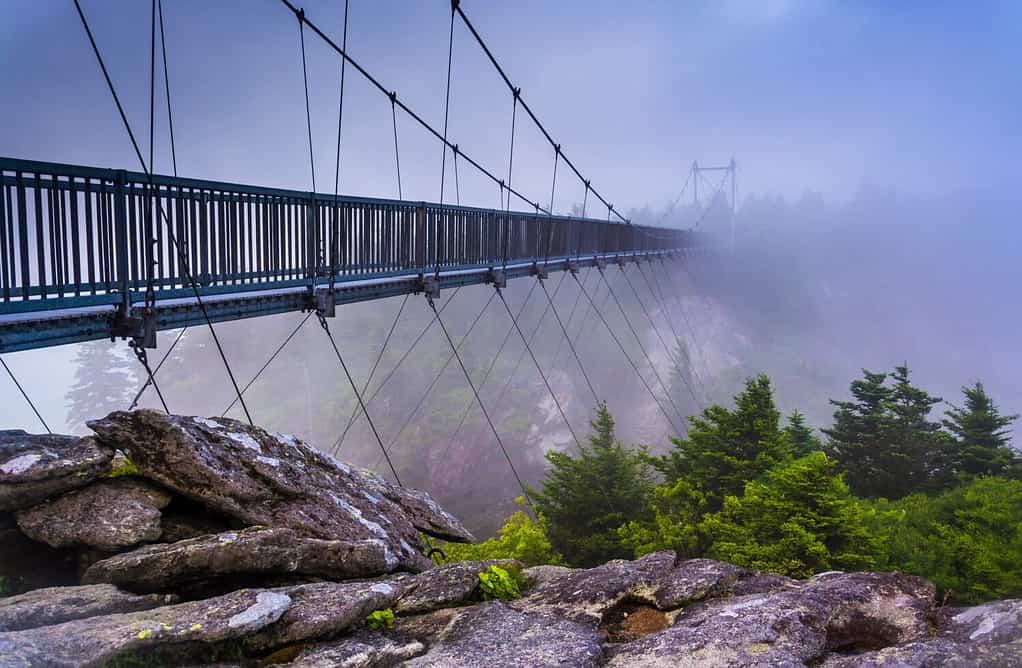 The Scariest Bridge in Hawaii Will Have You On the Edge of Your Seat