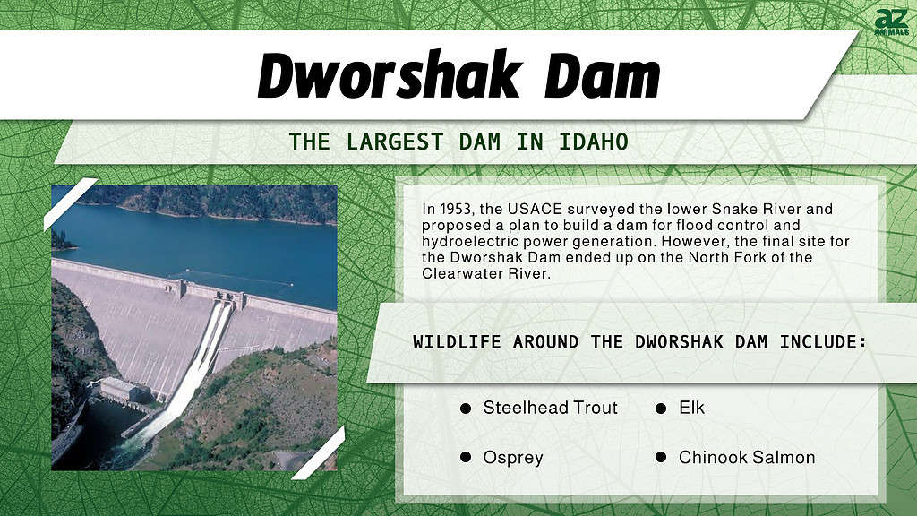 The Largest Dam in Each of the 50 States