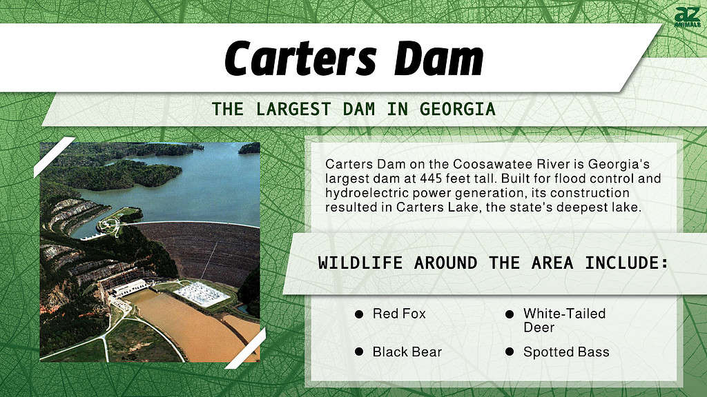 The Largest Dam in Each of the 50 States