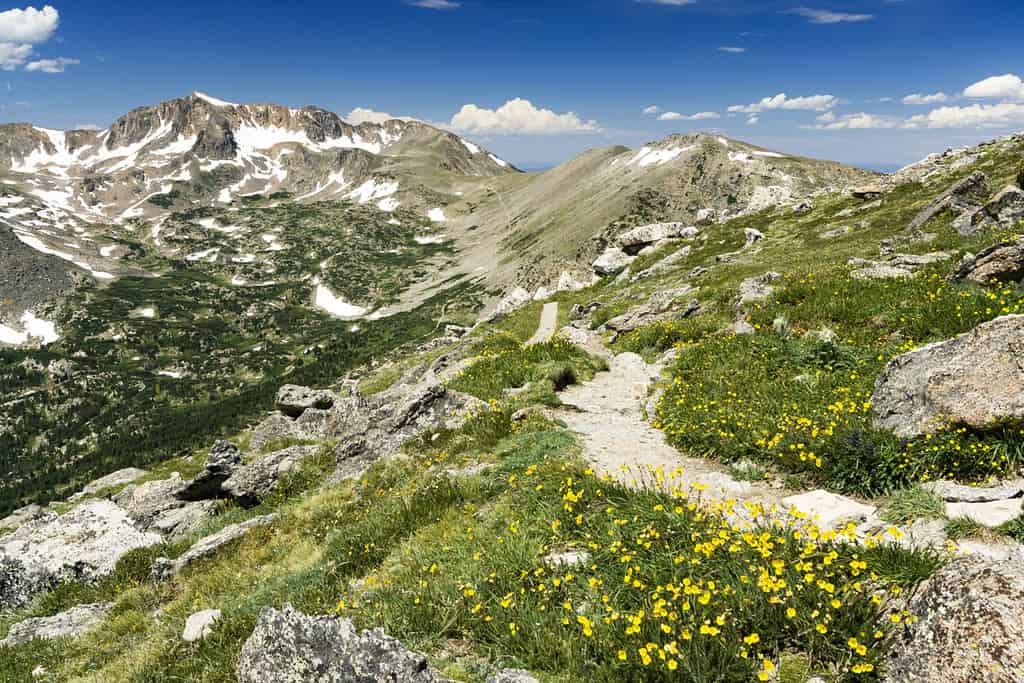 Colorado's Population Has Grown 162% in 50 Years… 9 Reasons People Are Flocking to the Mountains