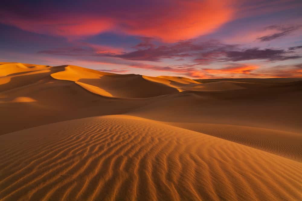 Discover How and When the Sahara Desert Was Formed