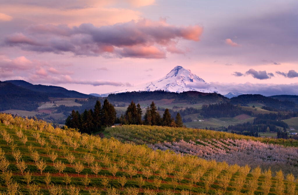 12 Must-Visit Small Towns in Oregon