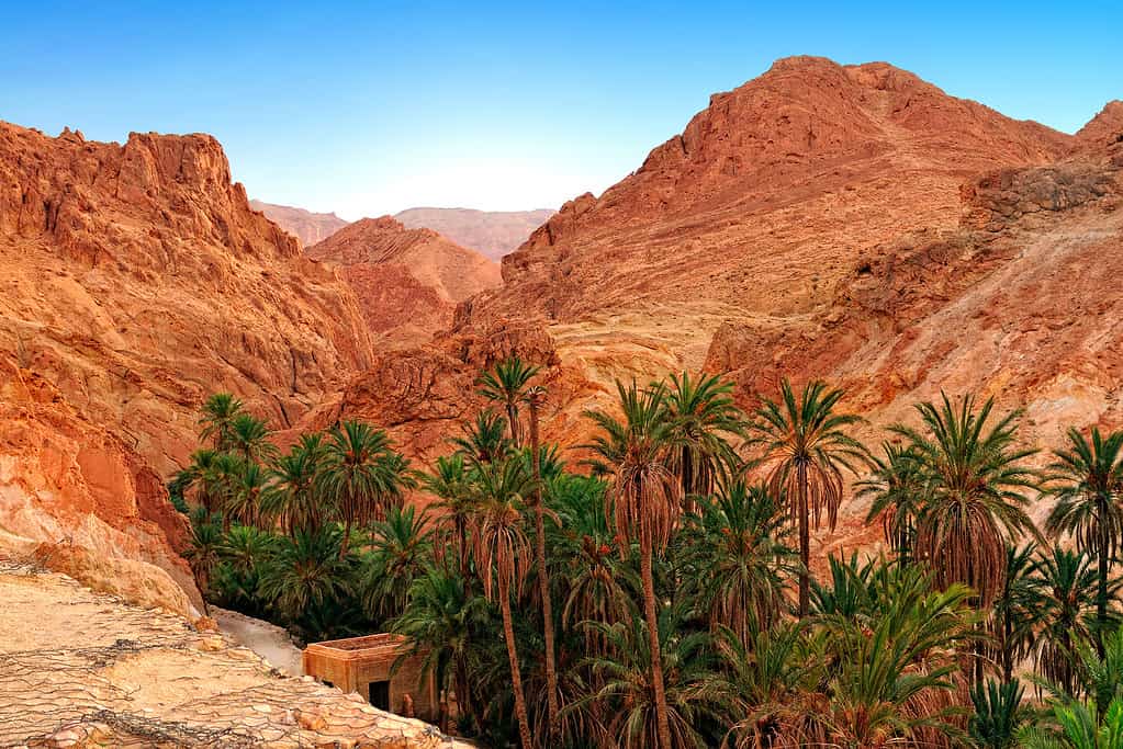 Discover How and When the Sahara Desert Was Formed