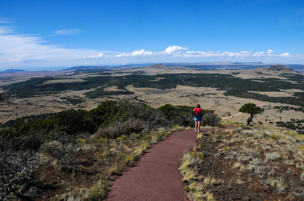 Populations in These 5 New Mexico Counties Are Plummeting