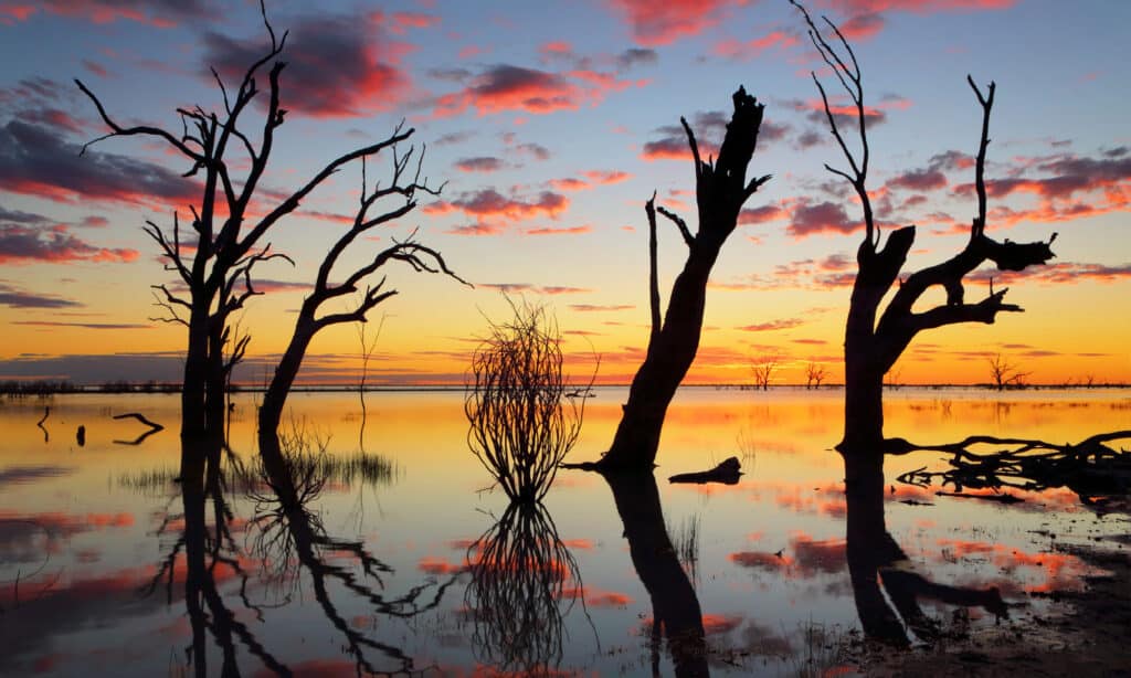 The 6 Largest Lakes in New South Wales