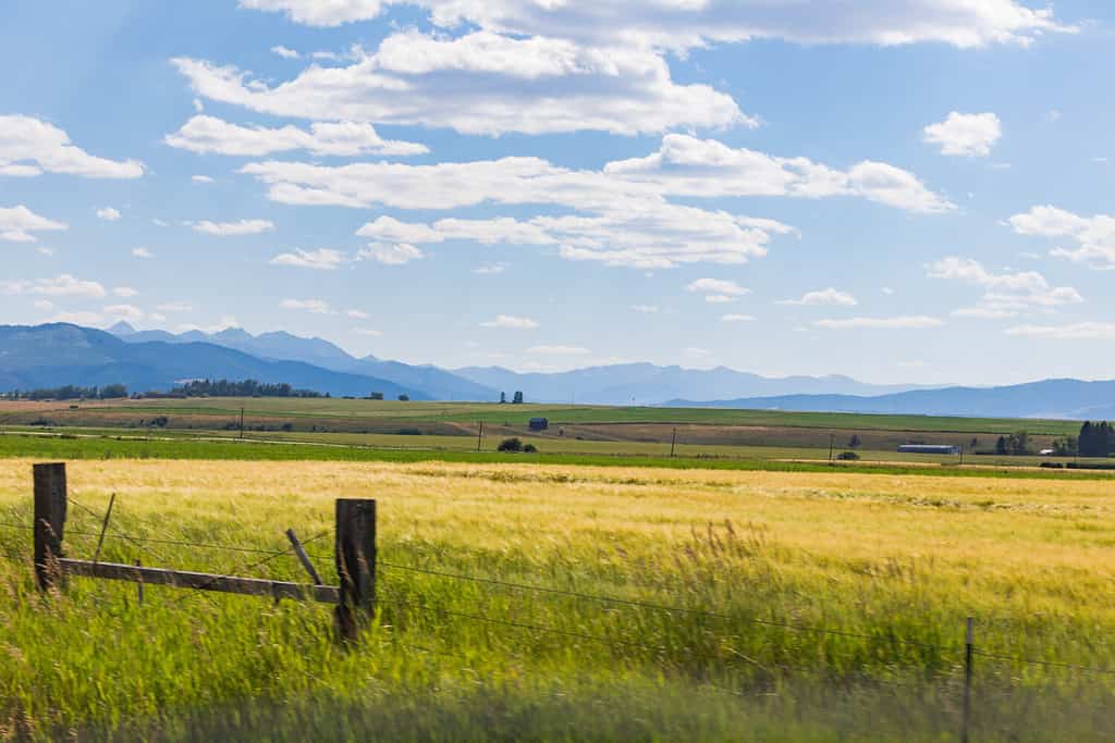 The Top 10 Wealthiest Counties in Montana (and Who Lives There)