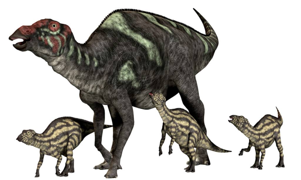 9 Incredible Dinosaurs That Start With M