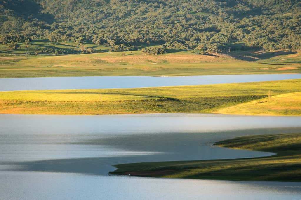 The 6 Largest Lakes in New South Wales