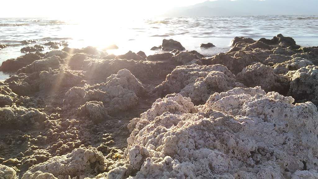 Salton Sea Lithium: Discover the Source of California's Next Gold Rush