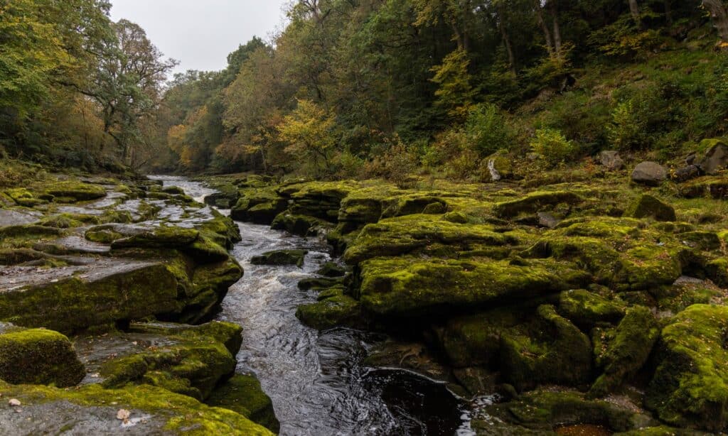 The 7 Clearest Rivers in England