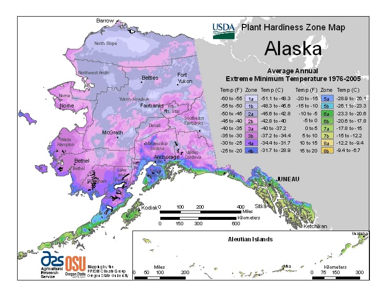 Discover Alaska's Planting Zones - Plus 13 Tips for Healthy Plants