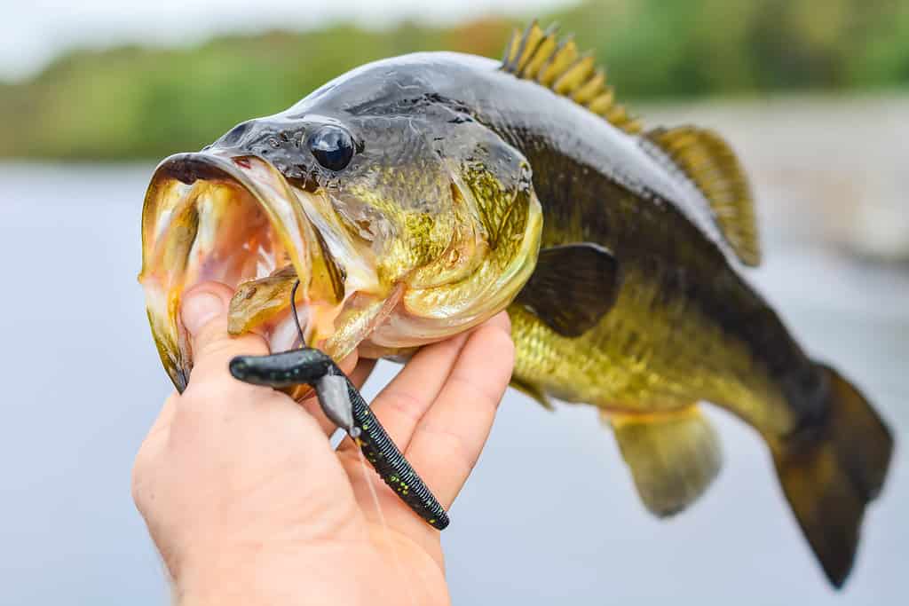 Discover the Oldest Man-Made Lake in Oklahoma