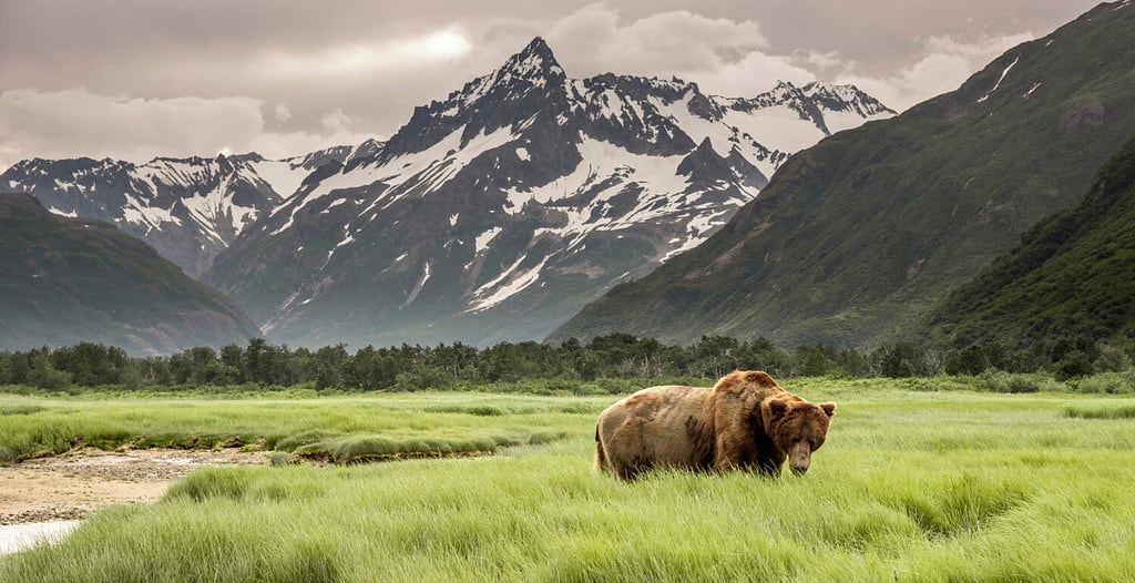 Discover Alaska's Planting Zones - Plus 13 Tips for Healthy Plants