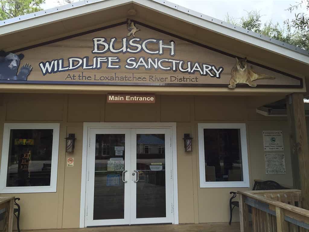 Discover the 10 Best Wildlife Sanctuaries in Florida