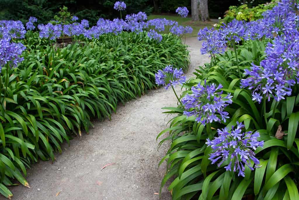 18 Easy Landscaping Ideas You Can Use to Make Your Small Backyard Feel Bigger