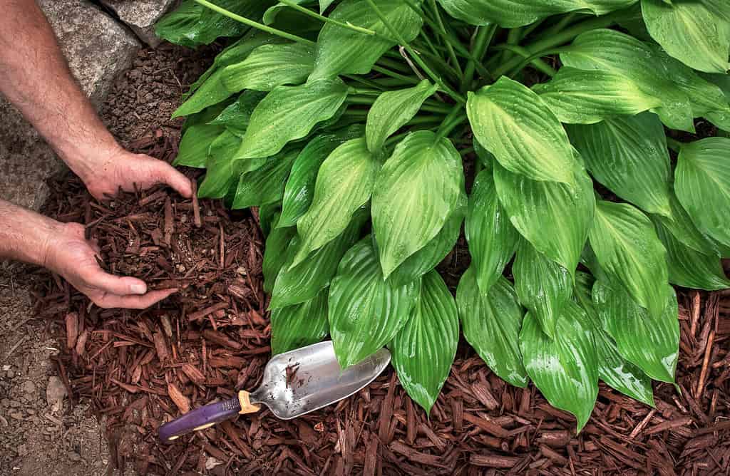 18 Easy Landscaping Ideas You Can Use to Make Your Small Backyard Feel Bigger