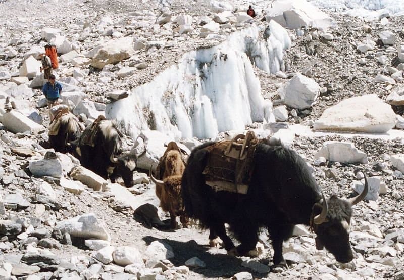 10 Incredible Facts About the Himalayas