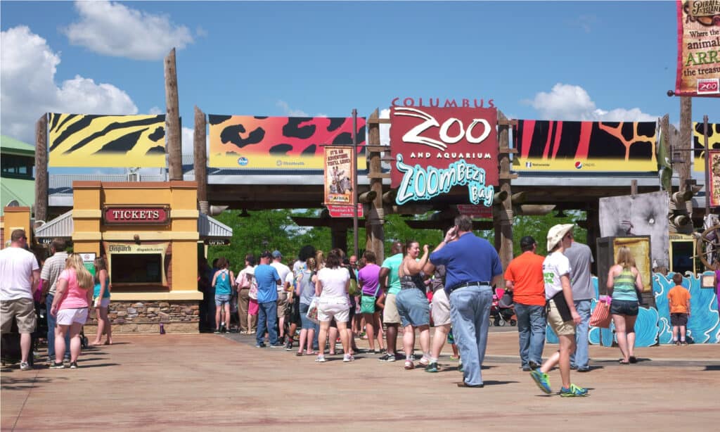 The 4 Best Zoos in Ohio: Best Time to Visit and More!