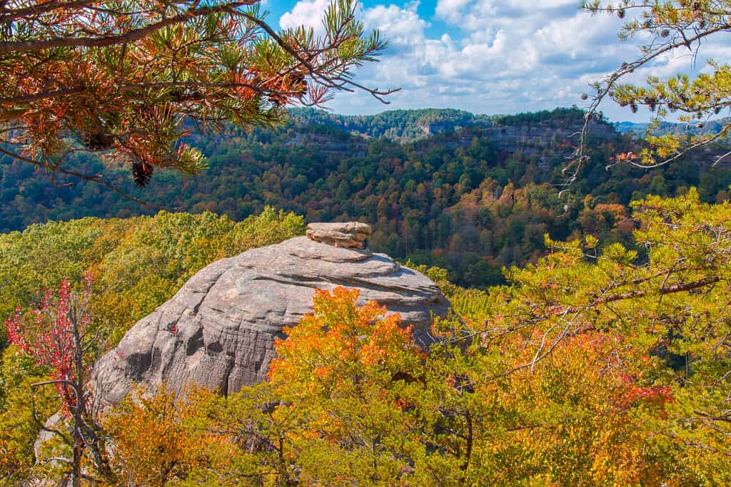 Hunting in Kentucky: 12 Great Public Hunting Lands