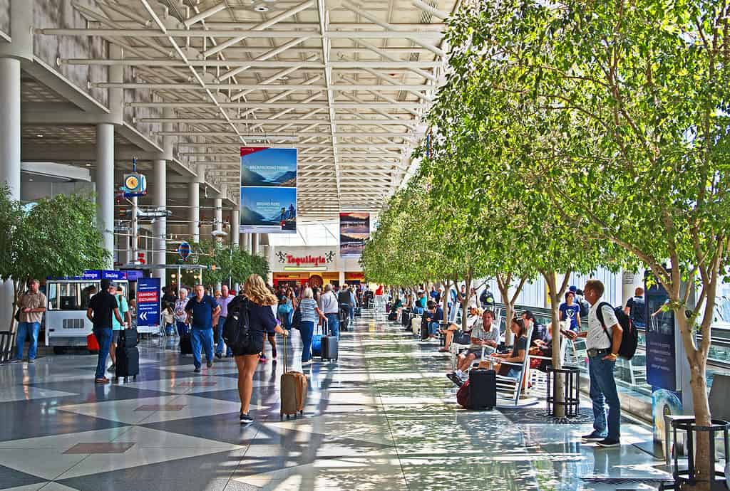 Discover the 10 Largest Airports in the South