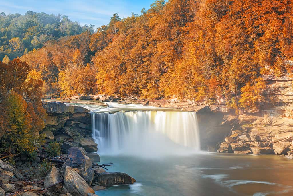 Hunting in Kentucky: 12 Great Public Hunting Lands