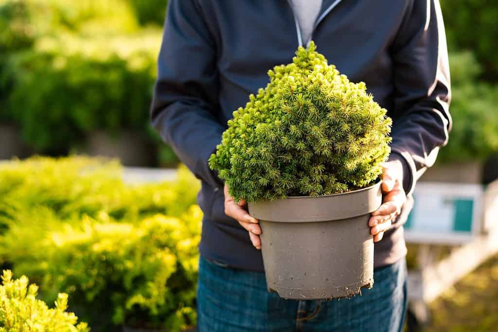 18 Easy Landscaping Ideas You Can Use to Make Your Small Backyard Feel Bigger