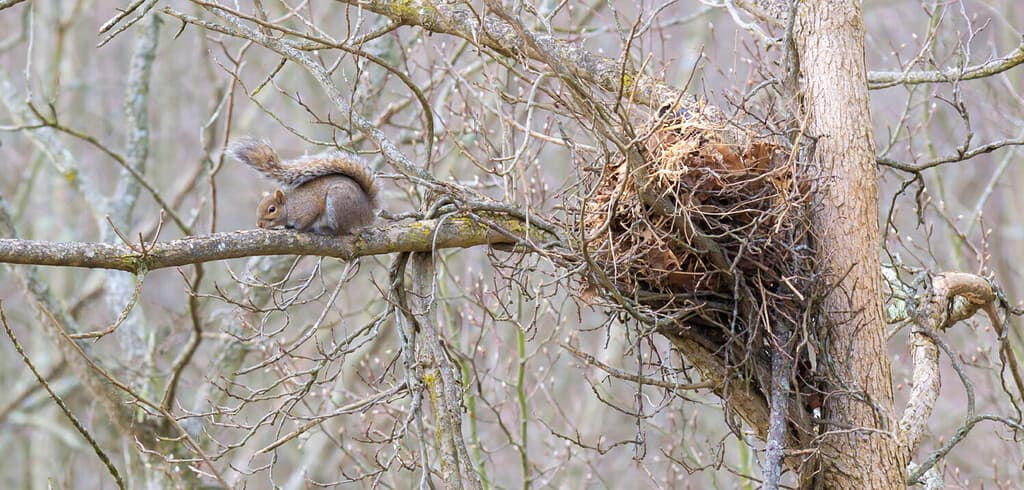 Hunting in Kentucky: 12 Great Public Hunting Lands