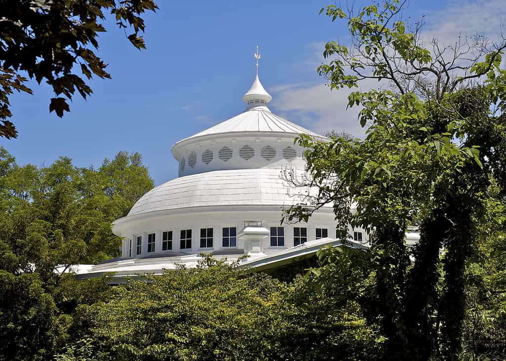 The 4 Best Zoos in Ohio: Best Time to Visit and More!