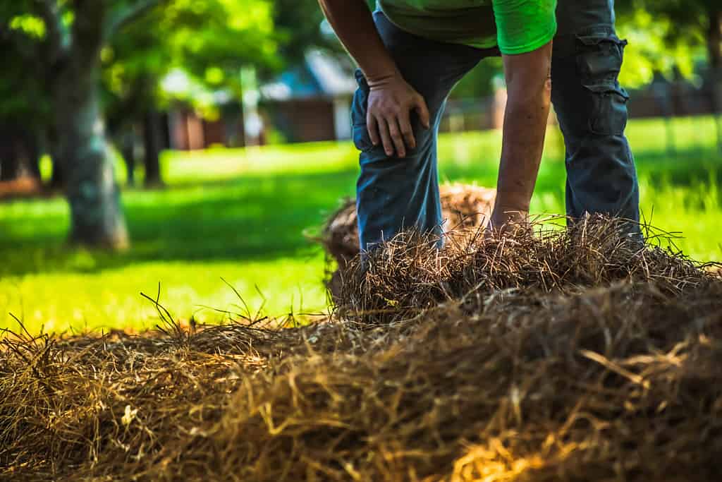 18 Easy Landscaping Ideas You Can Use to Make Your Small Backyard Feel Bigger