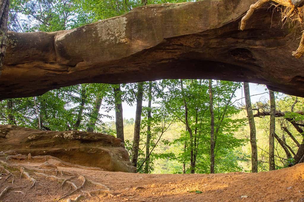 Discover the 8 Best Natural Arches in Kentucky