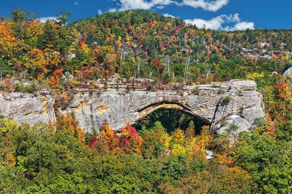 Discover the 8 Best Natural Arches in Kentucky