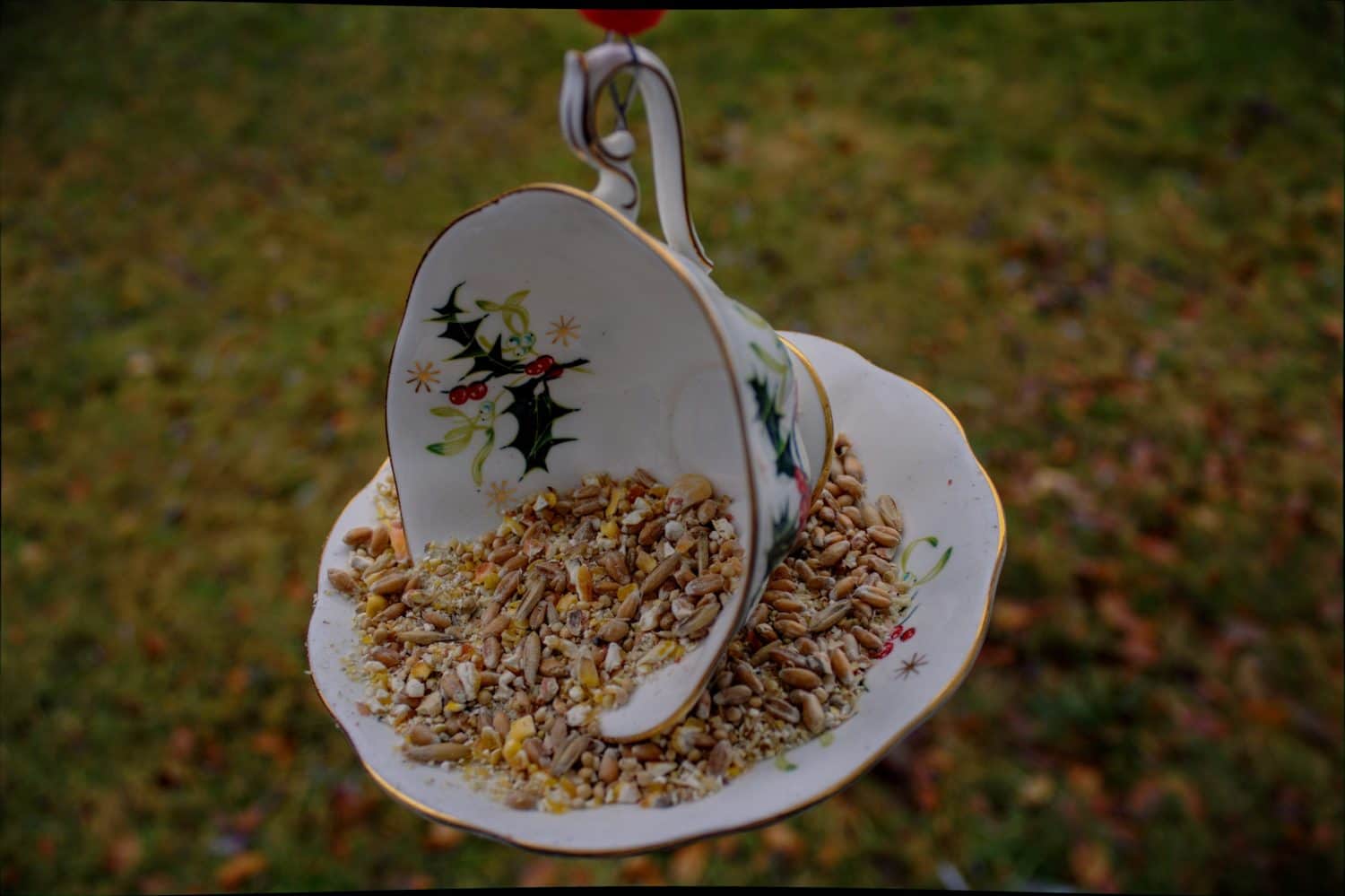 Discover 6 Excellent Homemade Bird Feeders