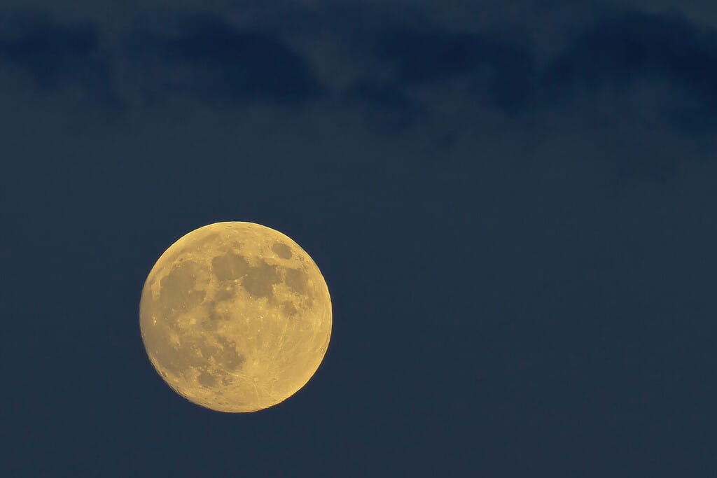 November Full Moon: Explore the Origin and Meaning of the Beaver Moon