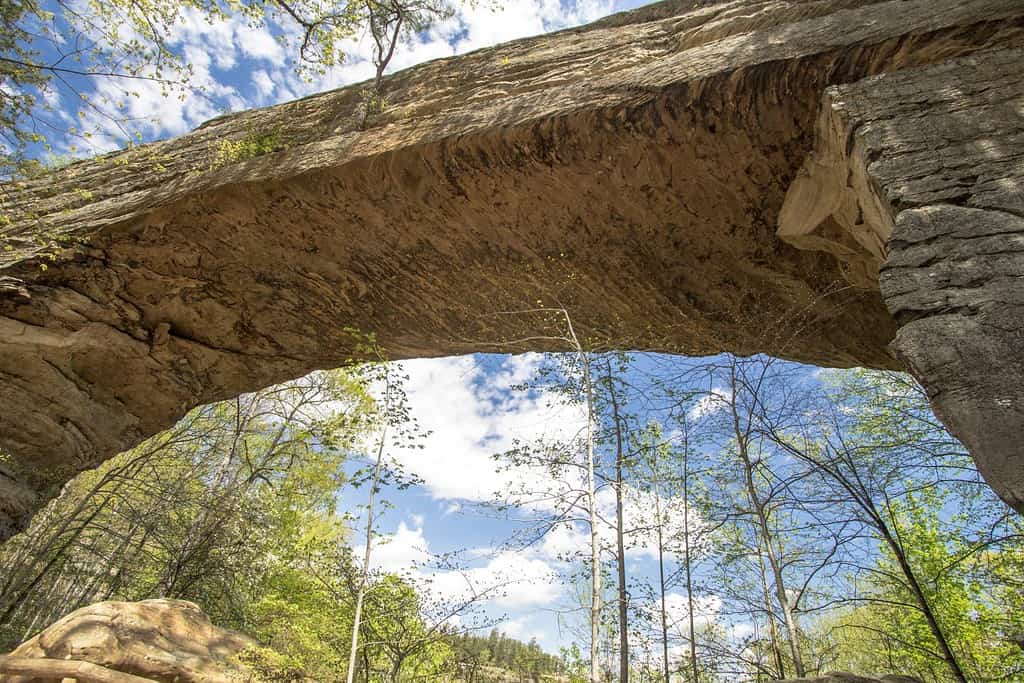 Discover the 8 Best Natural Arches in Kentucky