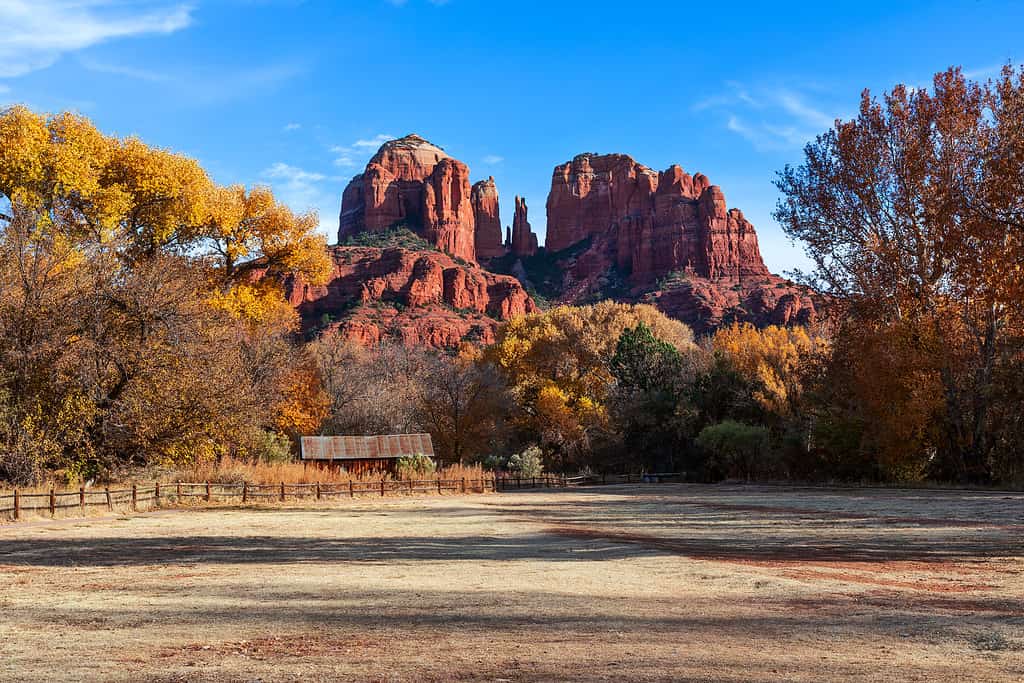 Discover the 7 U.S. Territories and States That Don't Observe Daylight Savings Time