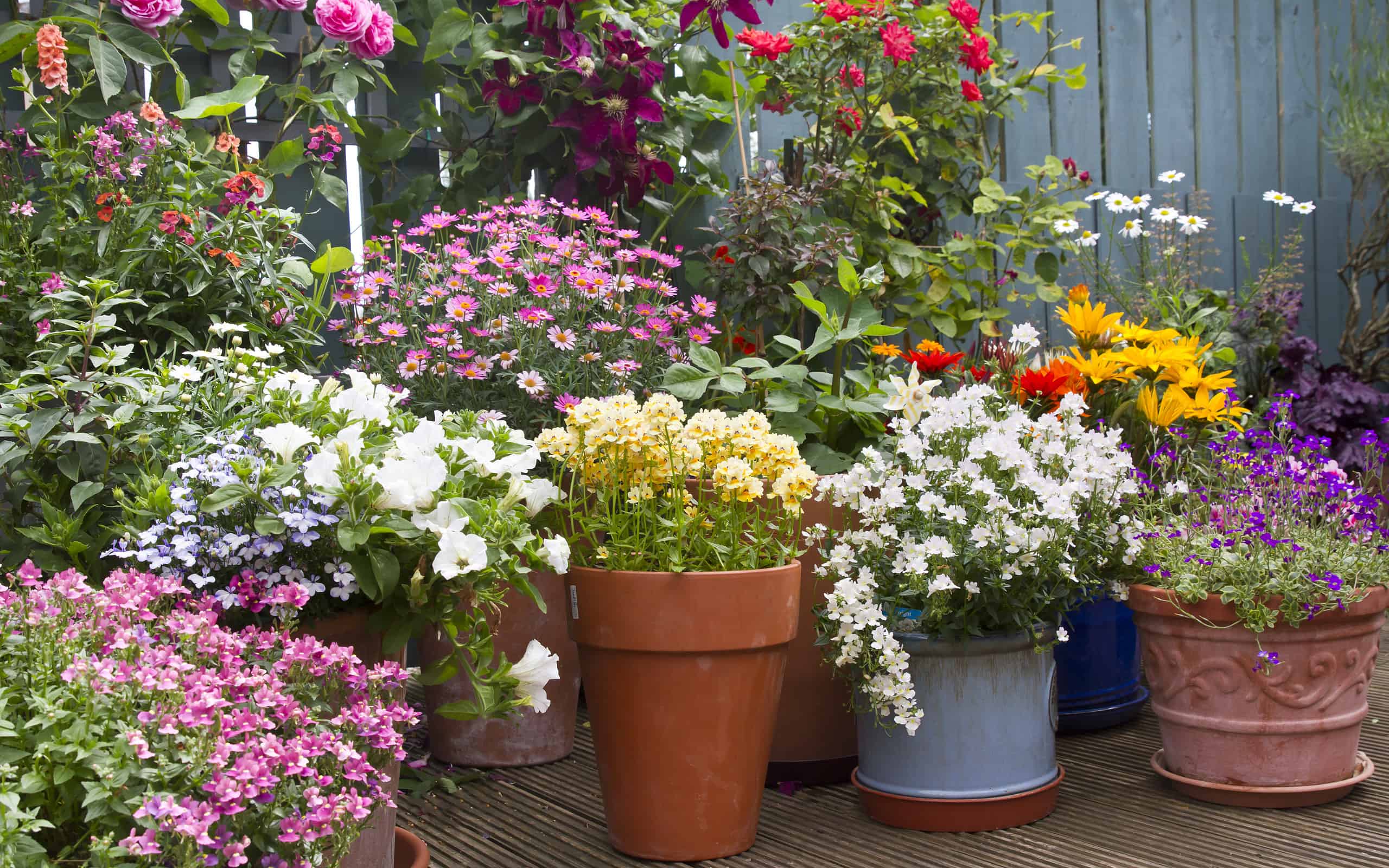 The 4 Best Gardening Methods For People With Limited Space