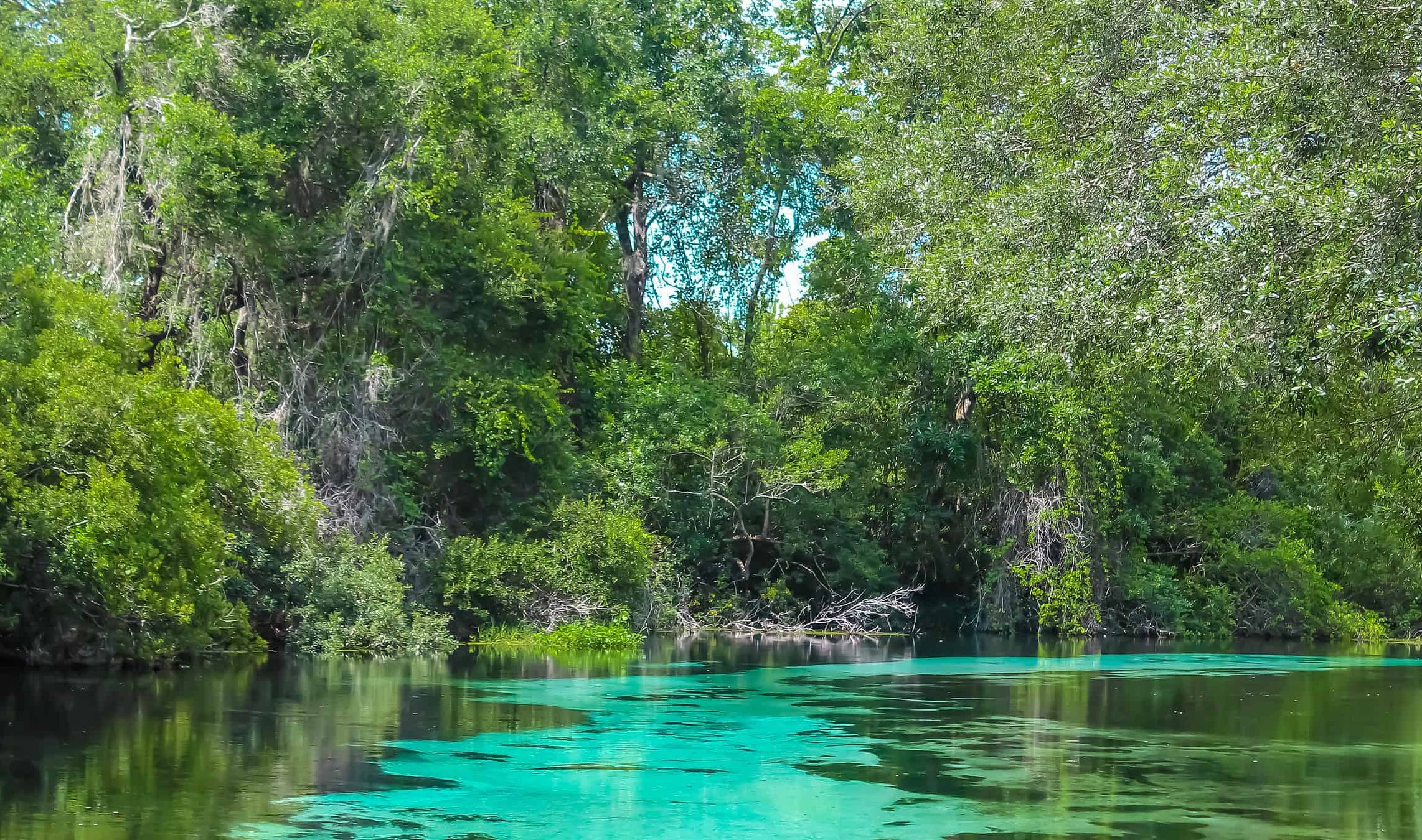 The 13 Best Places For a Photoshoot in Florida