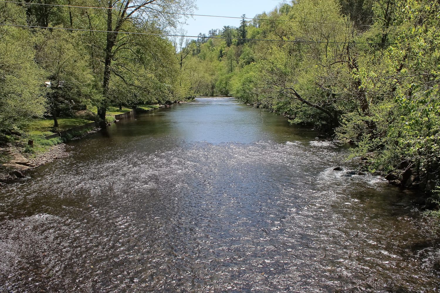 Discover the Top 10 Senior-Friendly Walking Trails in North Carolina