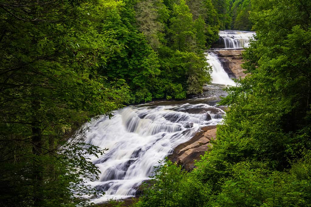 Discover the Top 10 Senior-Friendly Walking Trails in North Carolina